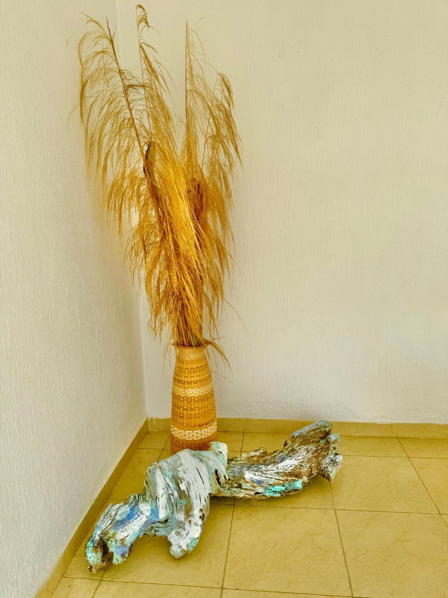 Conjunto Vergaralandia Frente Al Mar Holiday home *
